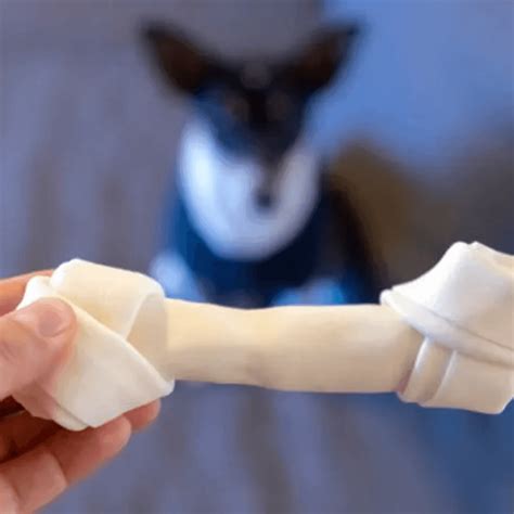 The Truth About Rawhide Chews for Dogs: Risks & Hazards – Dog-Eh!