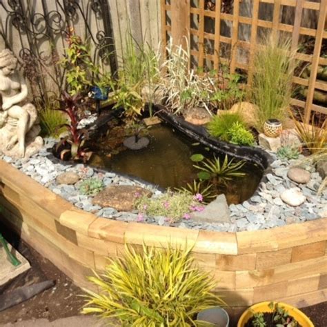 Raised Pond Raised Beds Raised Garden Fish Ponds Backyard Koi Fish