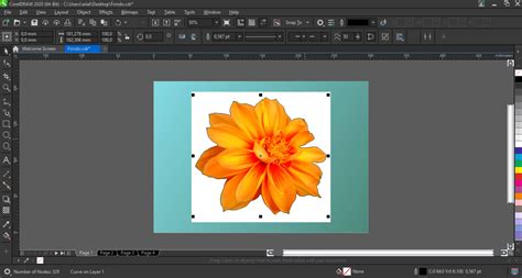 How To Cut Out An Image With A Clear Background In Corel Photo Paint