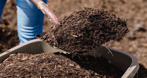 Can I Mix Compost With Clay Soil