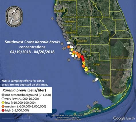 Red Tide Issues Continue Across Southwest Florida Fox 4 Now Wftx Fort