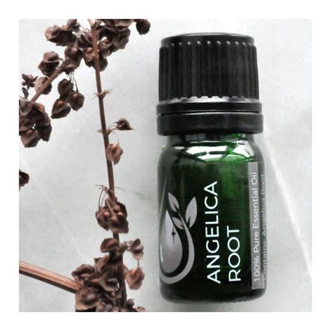 Angelica Root 100% Pure Essential Oil (Therapeutic Grade) 100% Pure Essential Oils