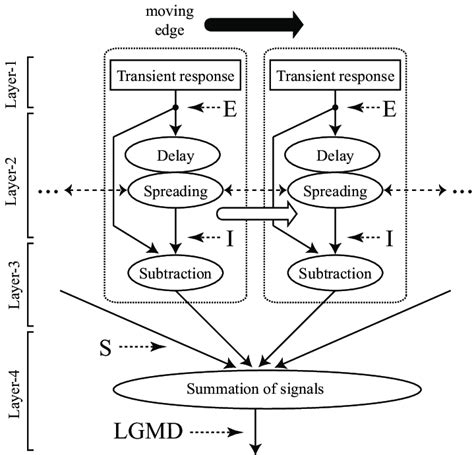 Visual Signal Flow Diagram Of Lgmd Download Scientific Diagram