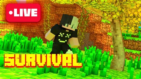 Live De Minecraft Bedrock Ao Vivo Jogando Solo No Meu Meu Mundo