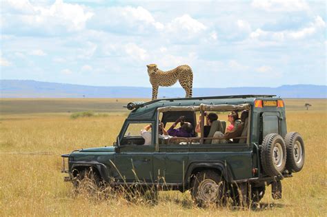 Travel Requirements for a Successful East African Safari