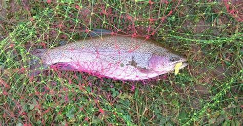 Силиконовые приманки Trout Zone на форель купить