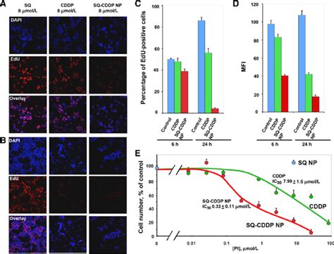 Ex Vivo Evaluation Of Sq Cddp Np On The Proliferation Of Human Colonic