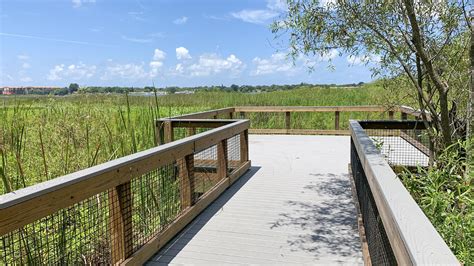 Lake Seminole Park St Petersburg Florida Hikes