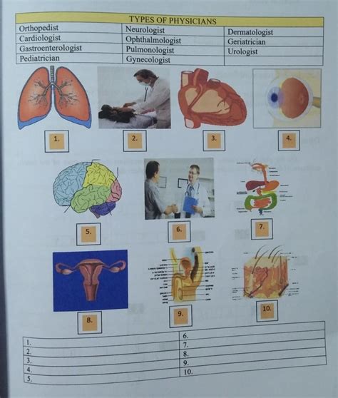 Given Below Are The Different Types Of Physician Match Them With Their