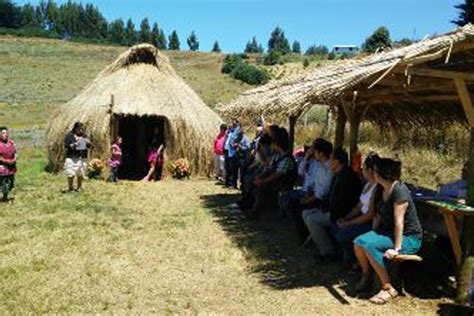 Comunidades Mapuches De Saavedra Inauguran Dos Rukas Taller Para La