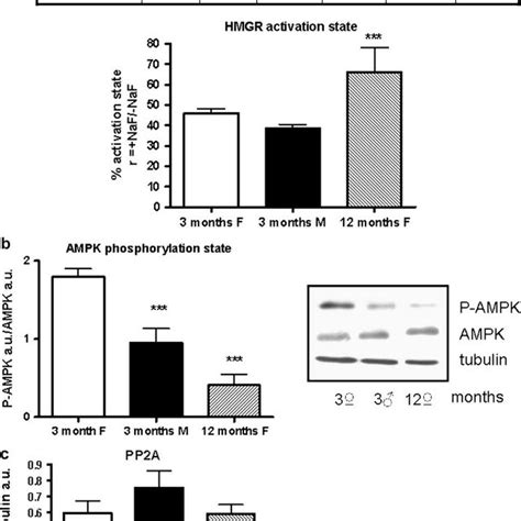 Scap Srebp Insig And Insig Levels In Month Old Male And