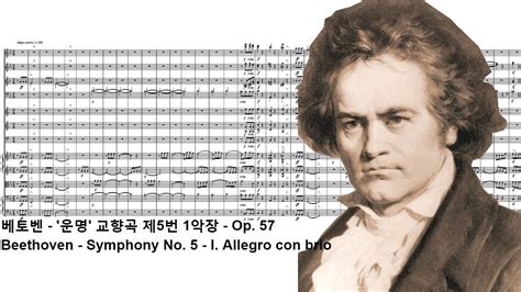 Nwc 베토벤 교향곡 제5번 운명 1악장 Beethoven Symphony No 5 I Allegro