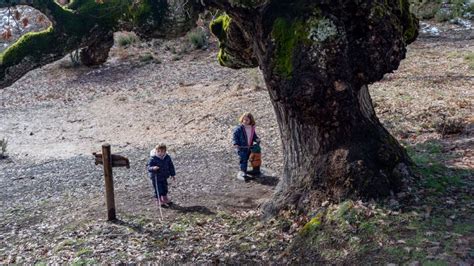 Ruta De Los Cuentos En Almanza