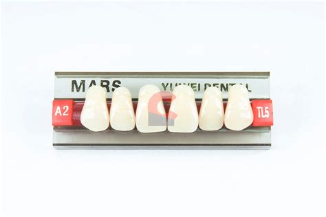 MARS Pontics TL5 A2 New Citizens Dental Supply And General Merchandise