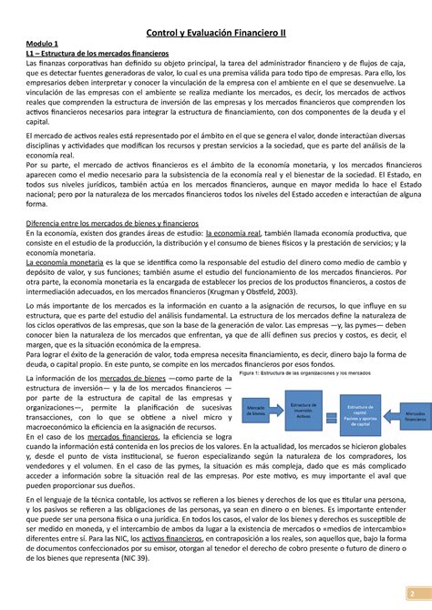 Resumen Modulo Control Y Evaluaci N Financiero Ii Modulo L