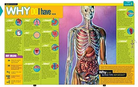 Largest Human Skeleton Ever Found National Geographic