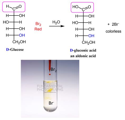 Oxidation Of Monosaccharide Carbohydrates Chemistry Steps