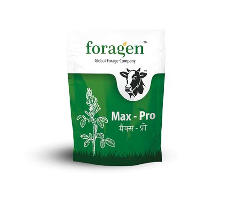 Animals Fodder at Best Price in India