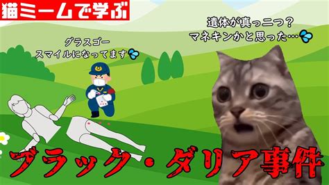 猫ミームで学ぶブラック・ダリア事件 猫マニ 猫ミーム Youtube