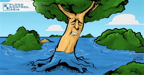 What effects does flood have on forests? | Flood Control Asia RS