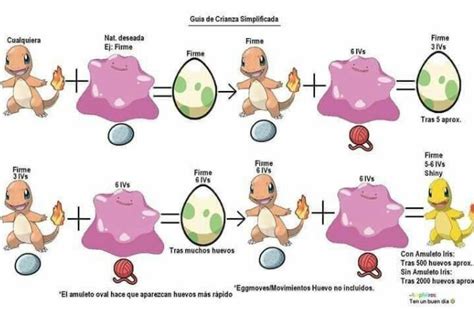 M Todo De Cr A Para El Competitivo Pok Mon En Espa Ol Amino