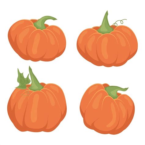 Calabaza Conjunto De Ilustraciones De Calabazas S Mbolo De Oto O