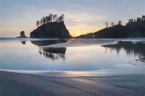 Second Beach Olympic National Park Alan Majchrowicz Photography