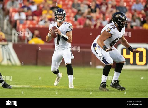 baltimore ravens offensive guard patrick mekari   res stock