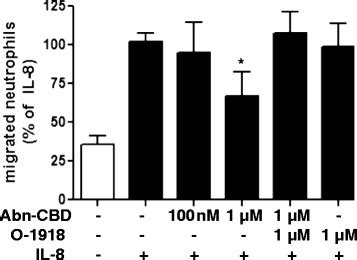 The Effects Of Abn CBD On Neutrophil Chemotaxis Neutrophils Were