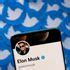 Twitter Relaunches Paid Blue Ticks As Musk Reveals Enormous Increase