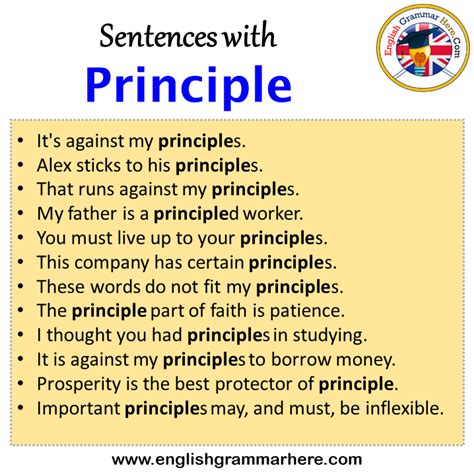 Sentences With Principle Principle In A Sentence In English Sentences