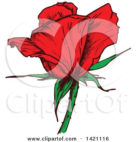 Clipart Of A Sketched Red Rose Flower Royalty Free Vector