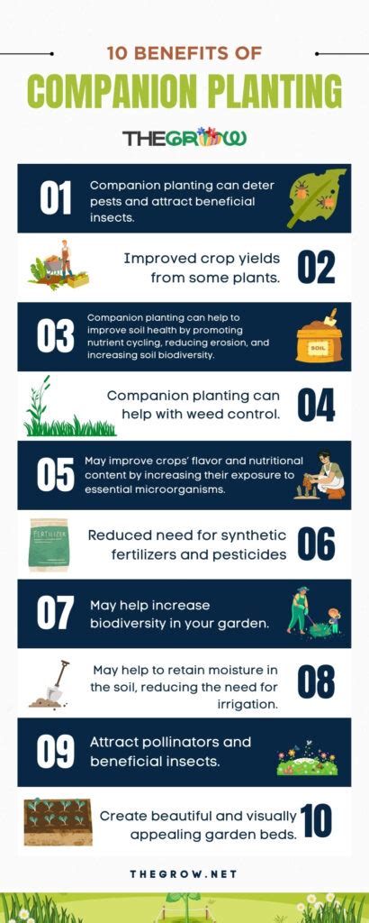 Companion Planting Chart The Ultimate List Thegrow