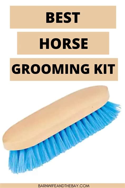 The Best Horse Grooming Tools And Supplies You Need