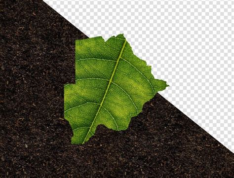 Premium PSD Botswana Map Made Of Green Leaves On Soil Background