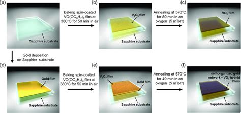 Schematics for fabricating the reference VO2 and SGN–VO2 hybrid films ... 