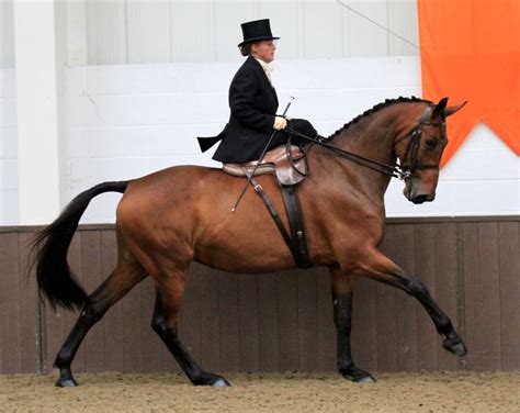 380 best Sidesaddle images on Pinterest | Horses, Side saddle and ...