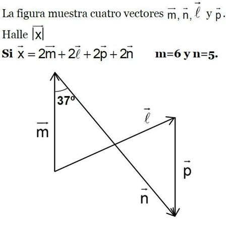 La Figura Muestra Cuatro Vectores M N Y P Halle X Si X 2m 2 2p