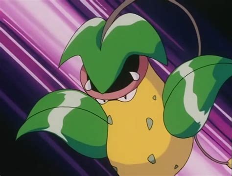 25 Best Grass Type Pokémon From Every Gen Ranked Fandomspot