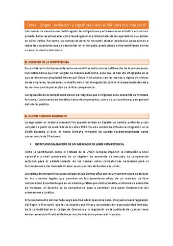 Guia Mercantil I Pdf