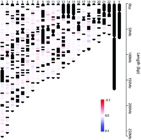 Chromosome Distribution Of Differentially Methylated Cpgs The Color