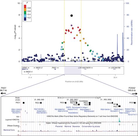 Chromosome 20p11 22 Regional Association Plot Log 10 P Value Of