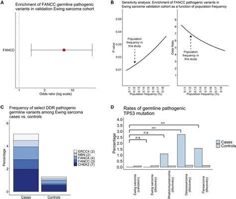 Enrichment Of Pathogenic Germline Variants In Fancc And Other Dna