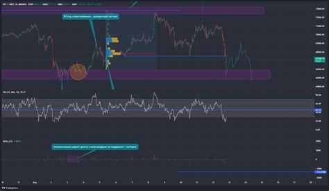 Binancebtcusdt Chart Image — Tradingview