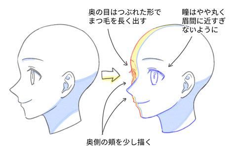 斜め 顔 337881 斜め顔