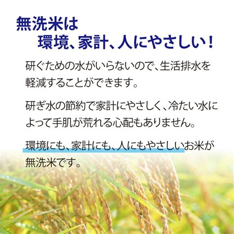 【楽天市場】玄米 あきたこまち 17kg 無洗米 秋田県産 栄養機能食品 鉄分 大潟村あきたこまち生産者協会 産地直送 ごはん 手軽 便利