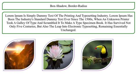 Box Shadow Box Radius