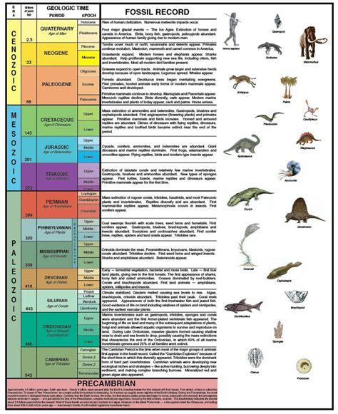 Geologic Time Scale For Kids