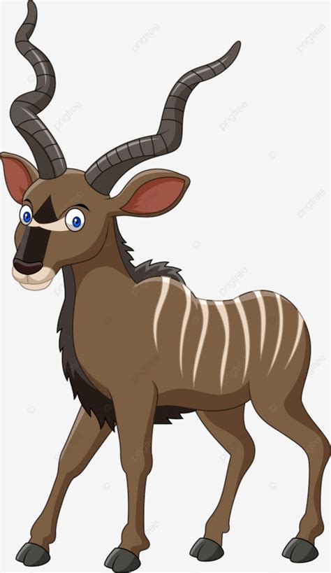 Kudu Horns Vector