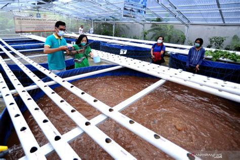 Wisata Edukasi Urban Farming Antara News